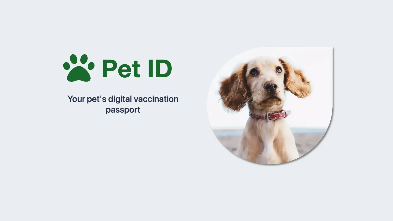 What is a pet digital passport?