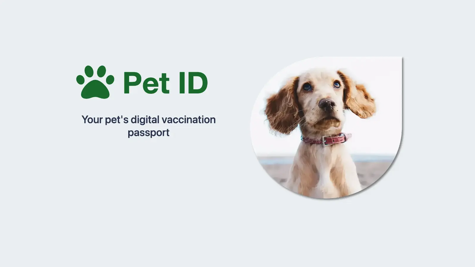 what is a pet digital passport